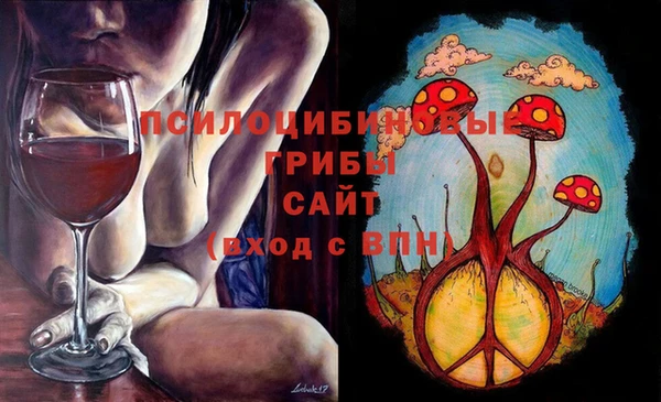 герыч Зеленодольск