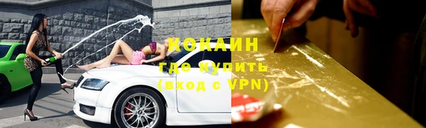 ГАЛЛЮЦИНОГЕННЫЕ ГРИБЫ Абаза