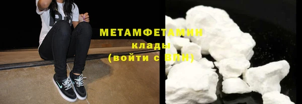 индика Инта