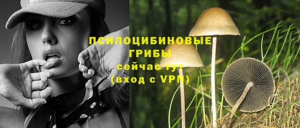 стаф Абдулино