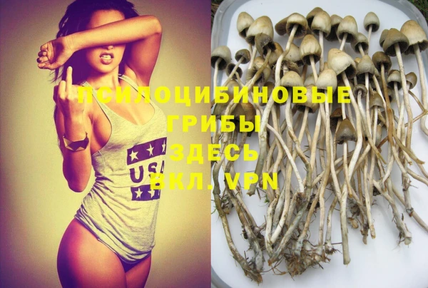 ГАЛЛЮЦИНОГЕННЫЕ ГРИБЫ Абаза