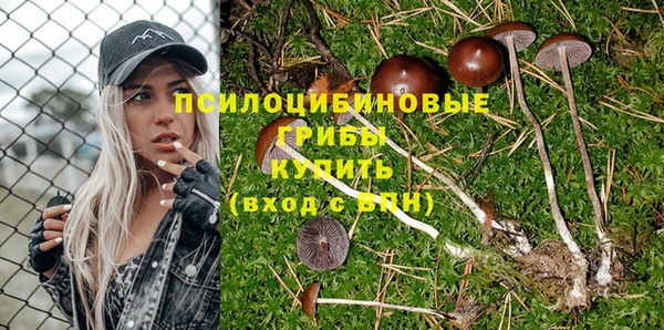 гидра Абинск